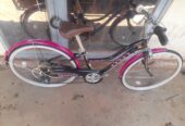 Bicycle