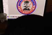Embroidery
