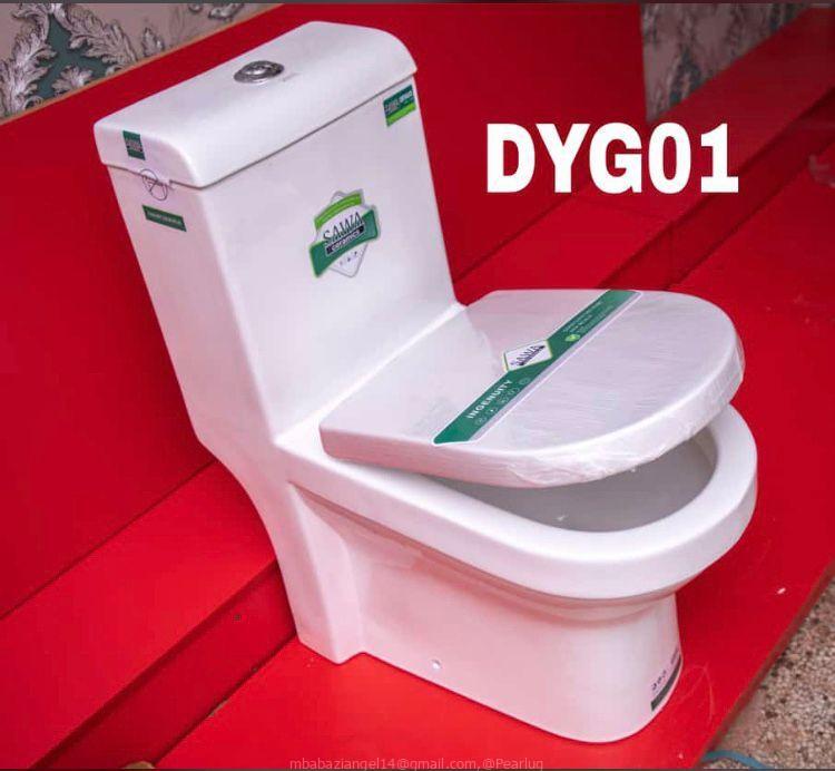 DGY_01 SAWA TOILET