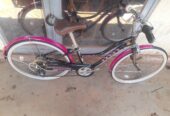 Bicycle