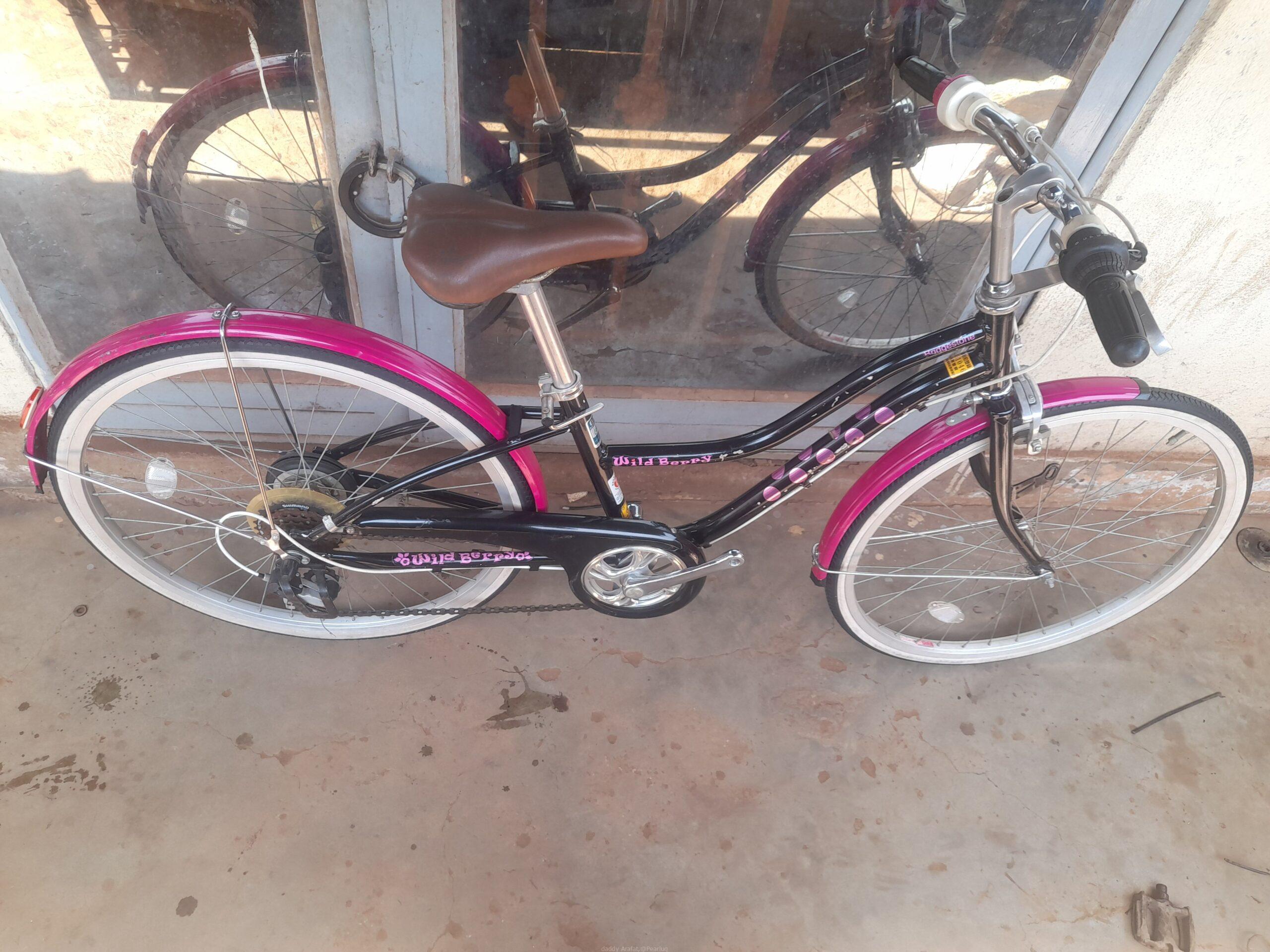Bicycle