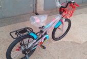 Reef kids bike 20in