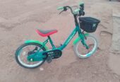 Kids show bike
