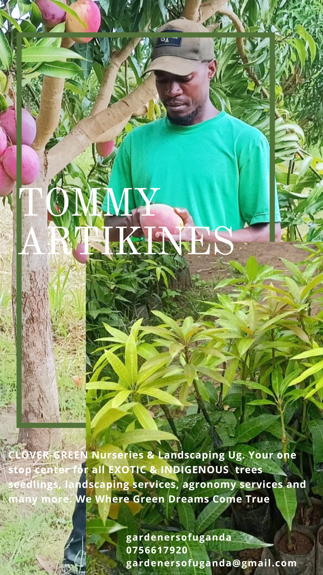 Quality fruit Tree Seedlings