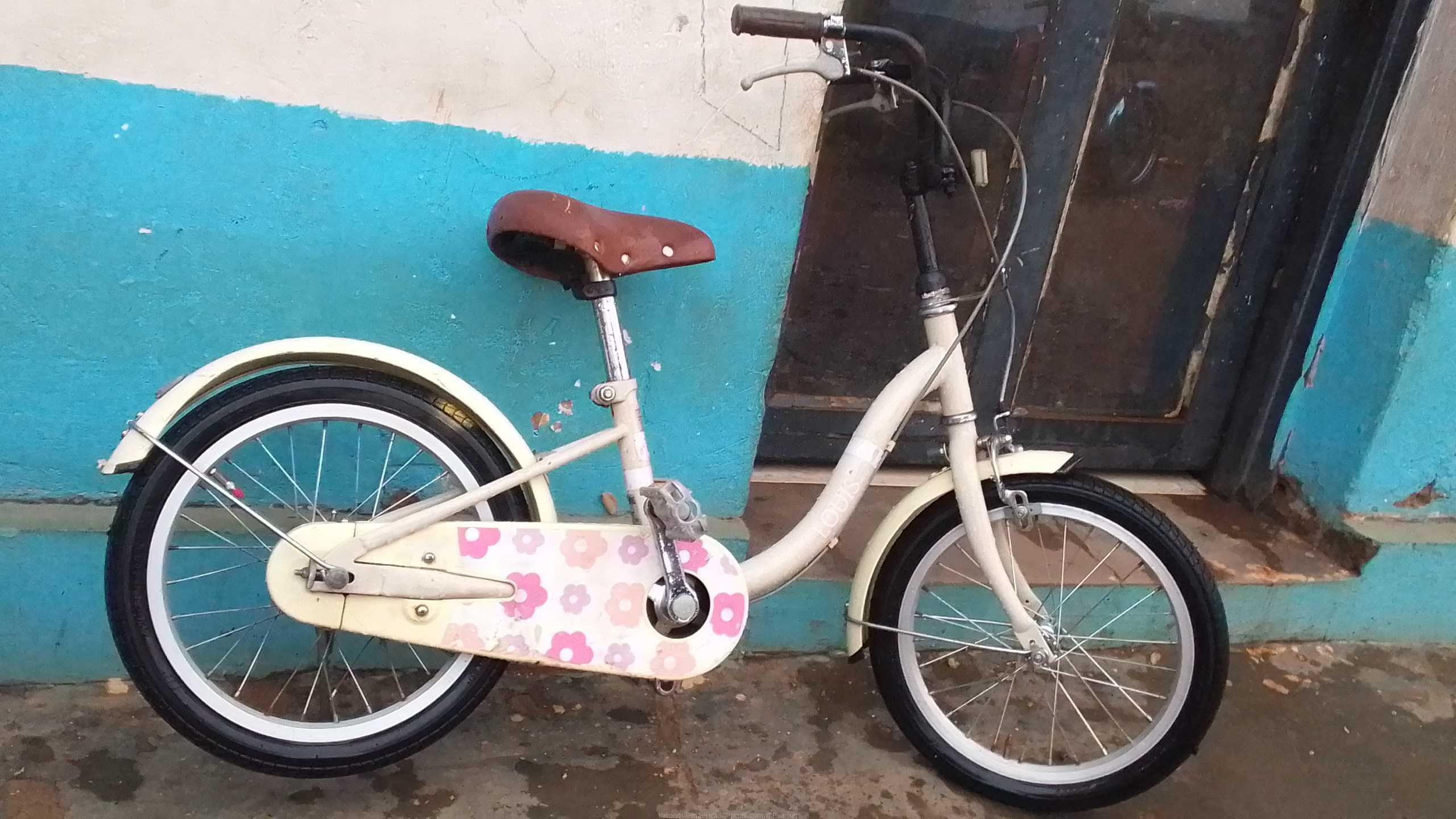 Bicycle, Louisville