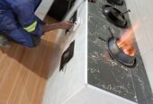 Inbuilt stoves