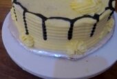 Birthdays cakes parties cream surprises gifts cakes