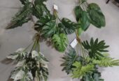 Plastic plants