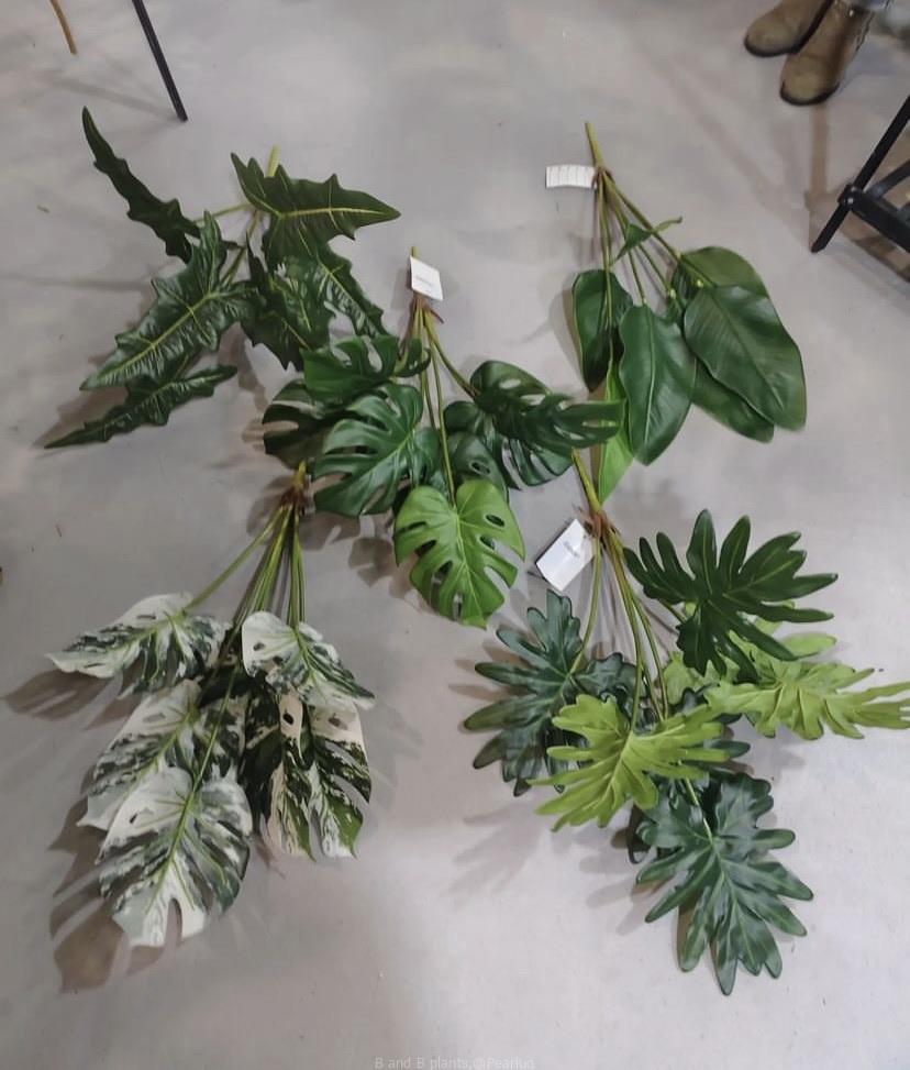 Plastic plants