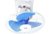 Saachi fan