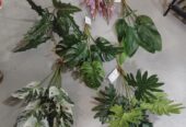 Plastic plants