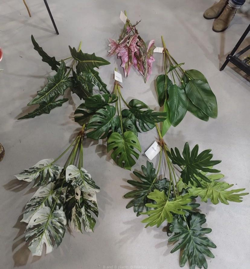 Plastic plants