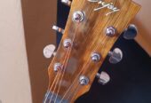 ENJOY Acoustic Guitar