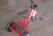 Basket tricycle