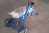 Basket tricycle
