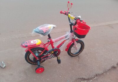 b25b7707-55db-400f-a3d8-19851ff69996