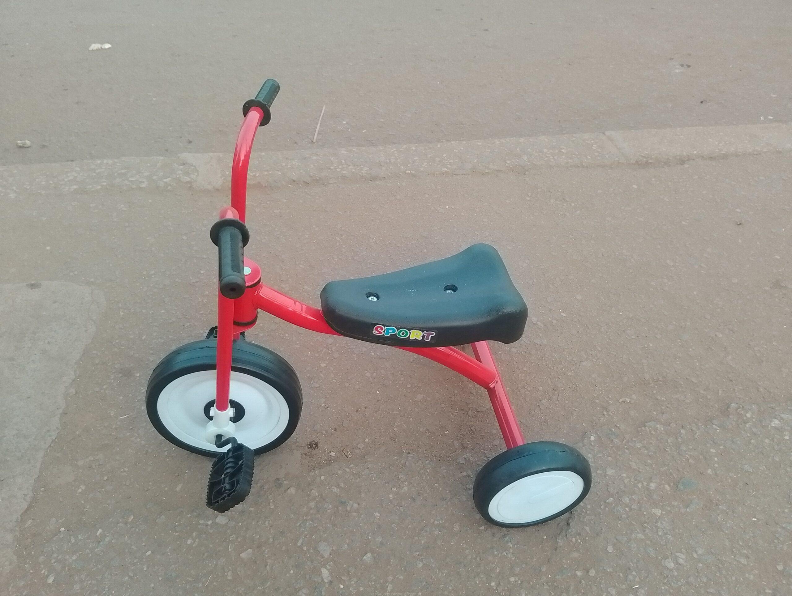 Portable kids tricycle