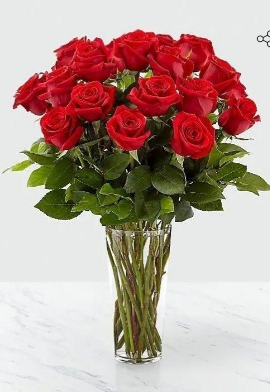 Rose flowers