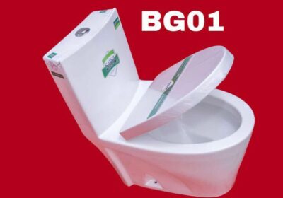 c1a833ee-230b-4b15-ac0c-69f205bb5cc5
