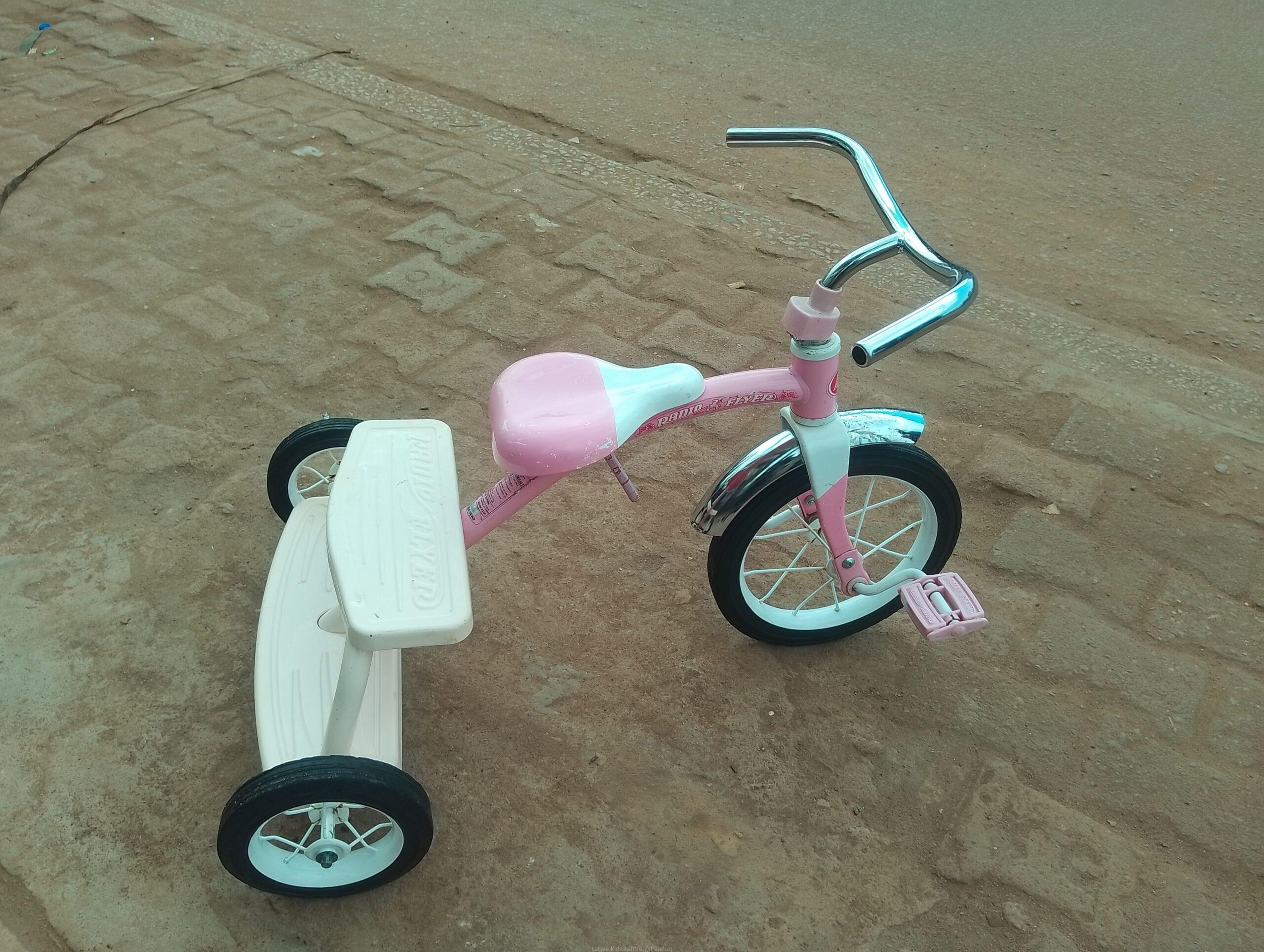 Radio flyer kids tricycle