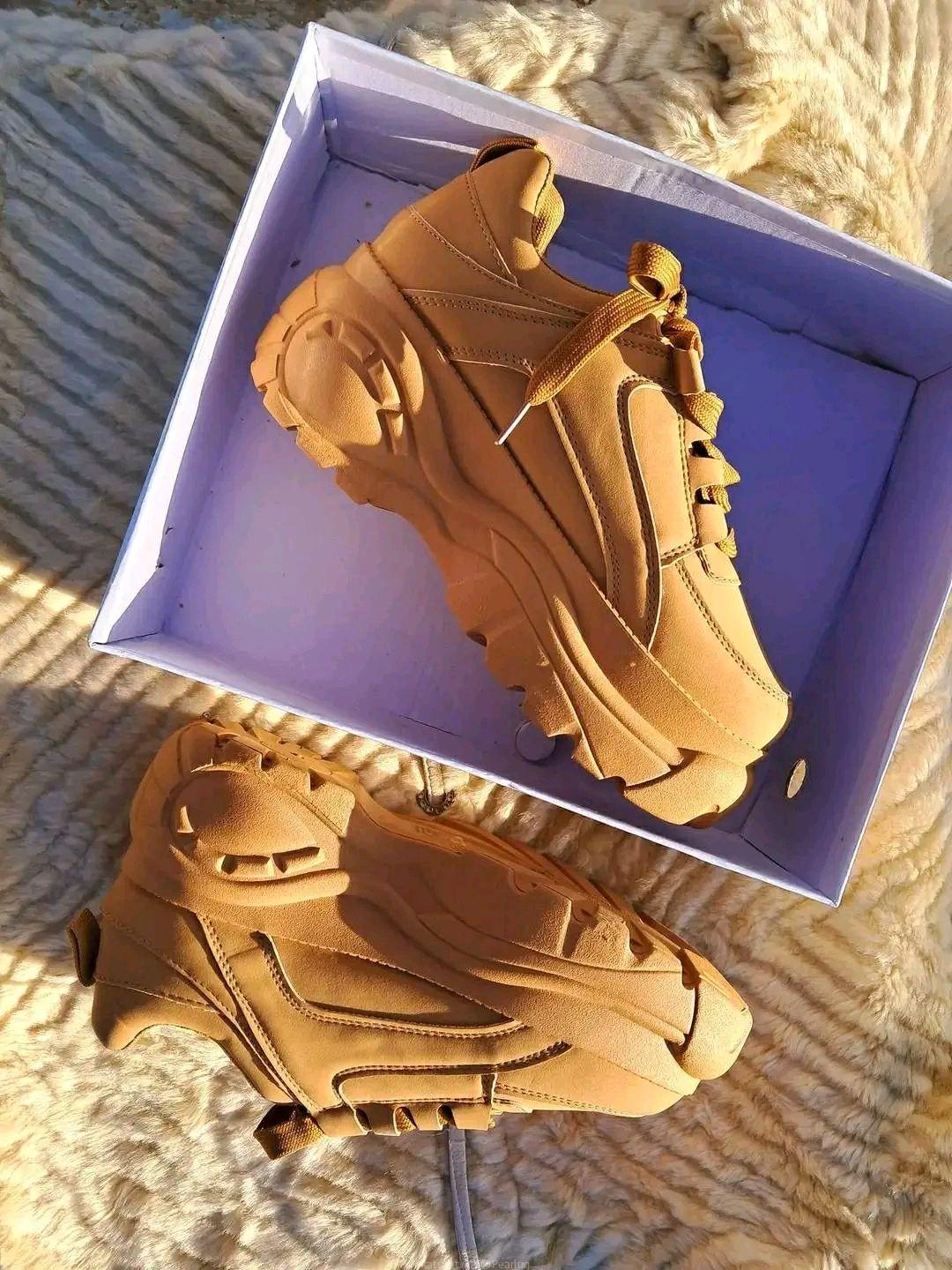 Brown wolf