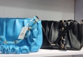 Trendy ladies bag