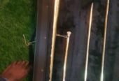 Trombones