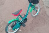 Kids show bike