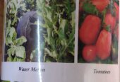Plants fertilisers.