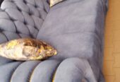 Sofas