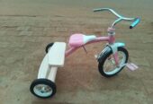 Radio flyer kids tricycle