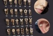 Gold and silver Nose Clips
