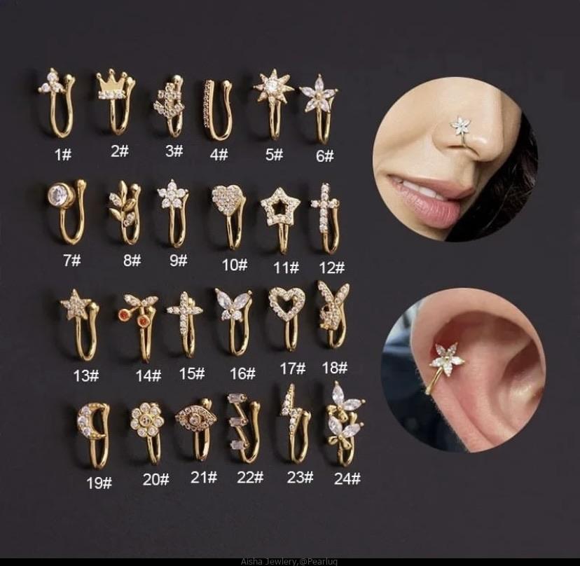 Gold and silver Nose Clips