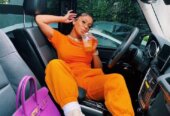 Ladies sweater pants