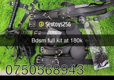 4513e438-c604-42ef-8467-691b4cb50620