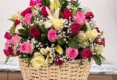 birthdays cakes parties flowers surprises gifts Black 665