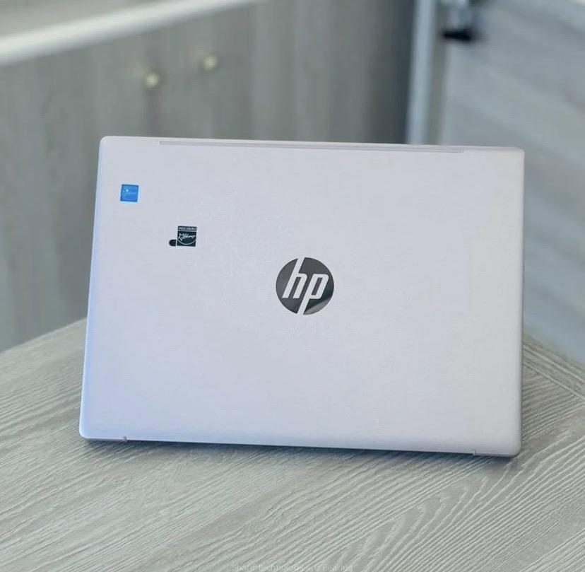 Hp Pavilion Plus PC