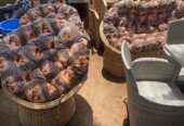 Rattan craft seats with a center table