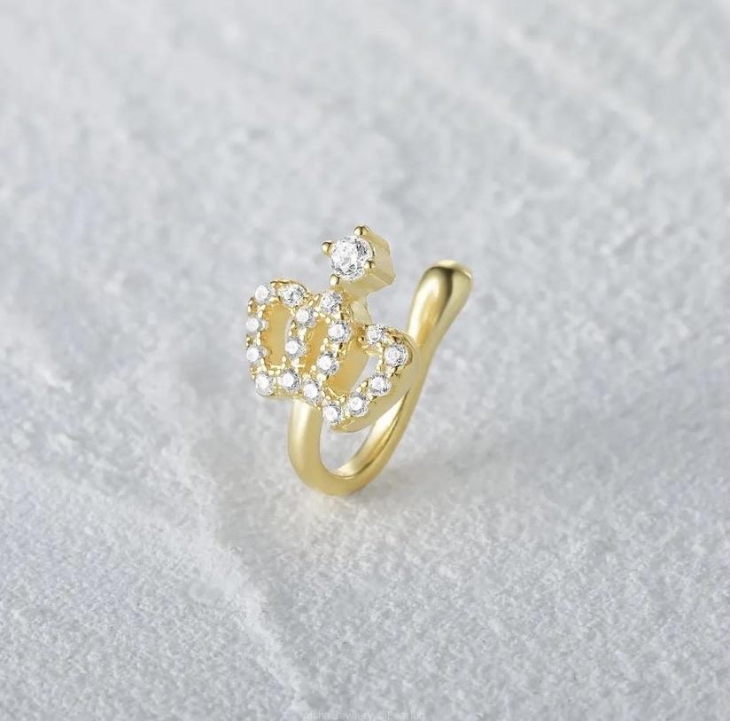 Gold and silver Nose Clips
