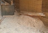 Saw dust