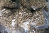 Seeds