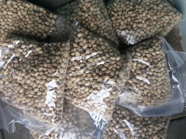 Seeds