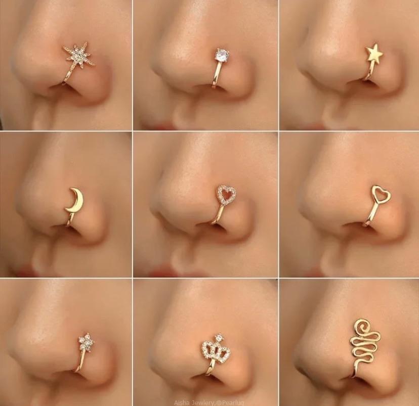 Gold and silver Nose Clips