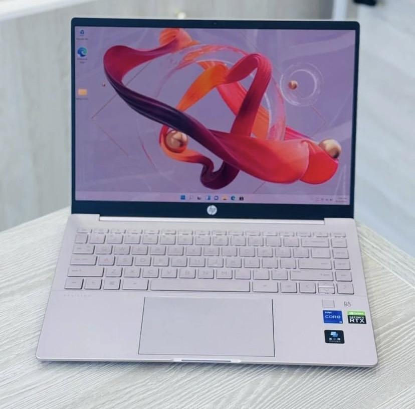 Hp Pavilion Plus PC