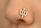 Gold and silver Nose Clips