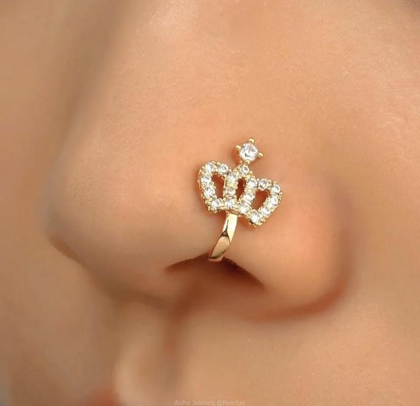 Gold and silver Nose Clips