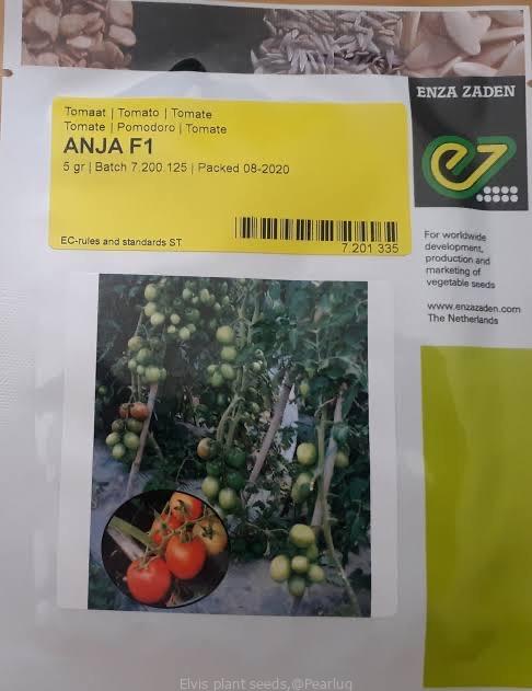 Tomato seeds