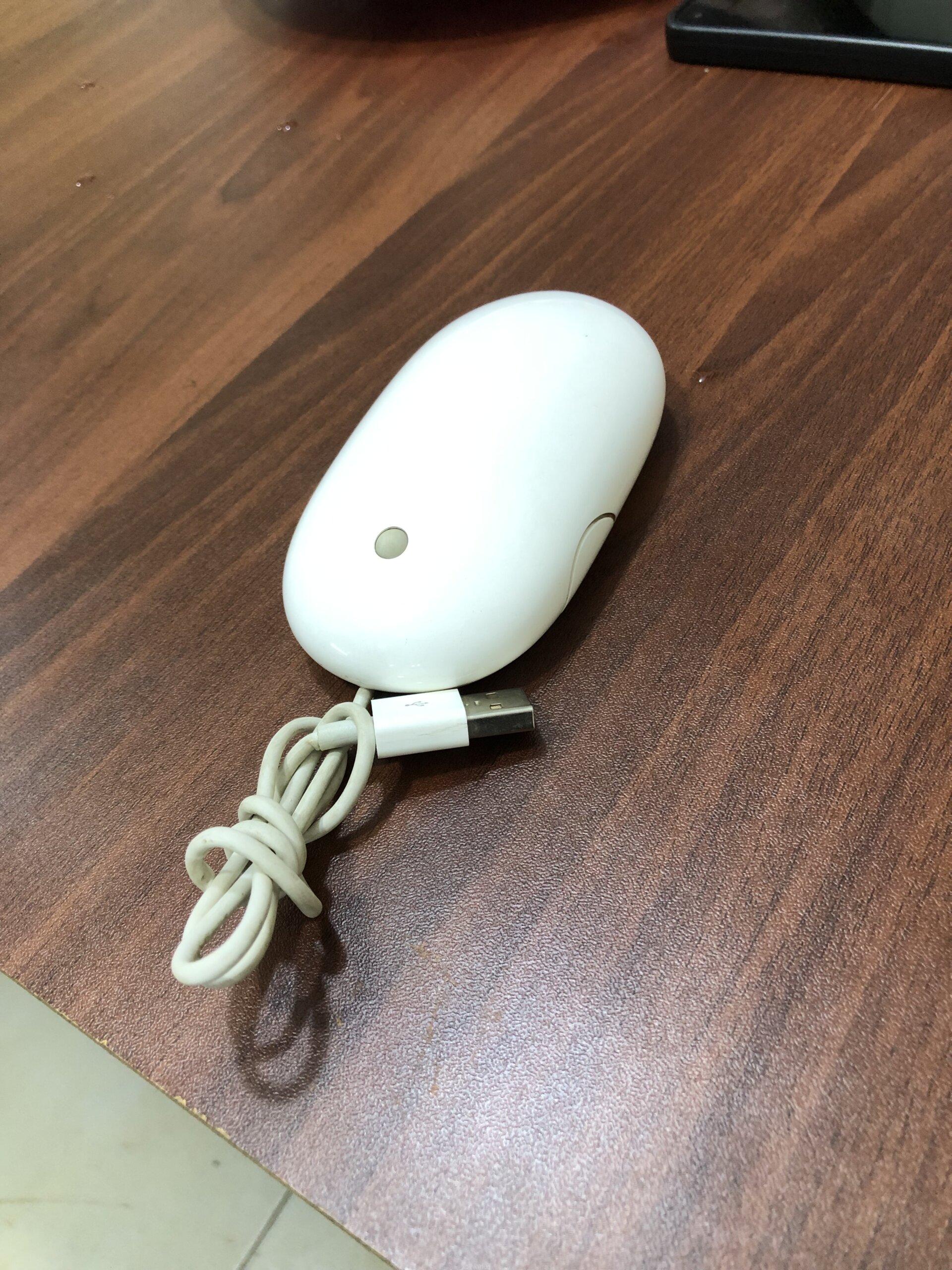 Mice