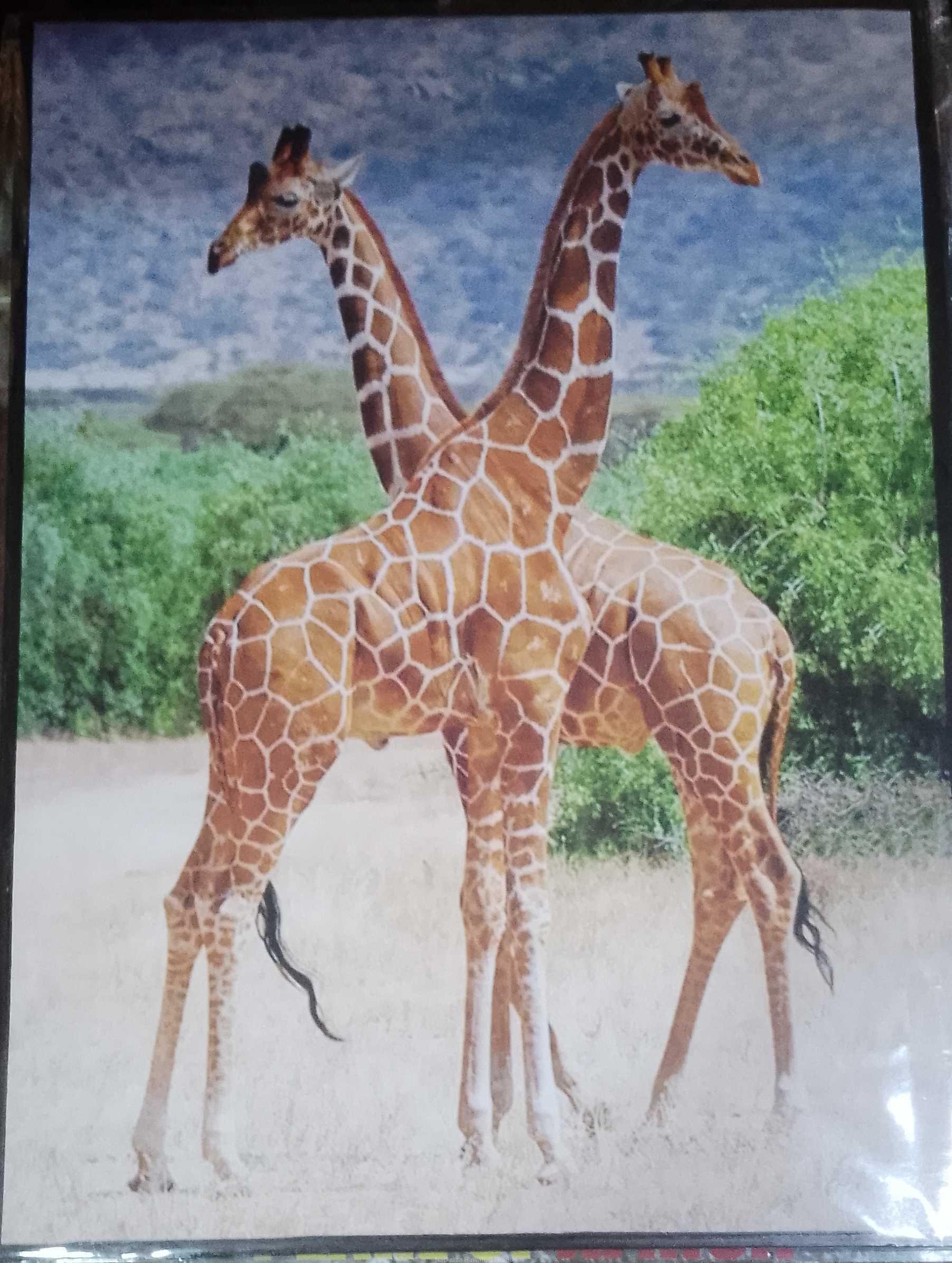 Art pieces(wall hangings)