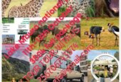 Lake Mburo national park 11th-13th October trip